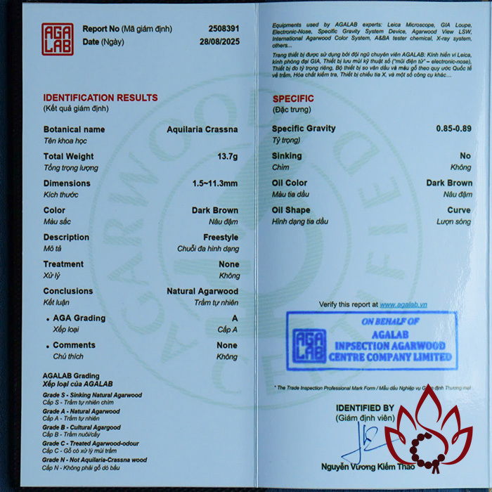 Vòng Trầm Hương Hạt Dẹp | 11 Ly | Trầm Bì Rễ Cận Chìm